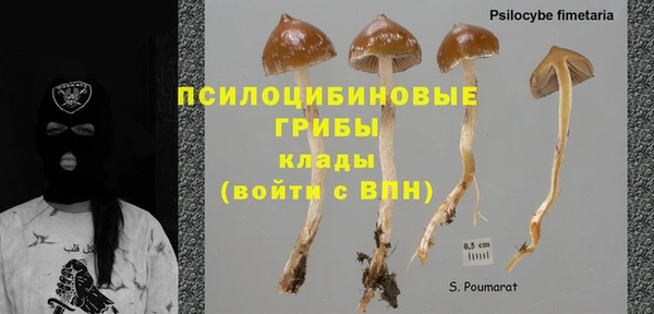 кристаллы Корсаков