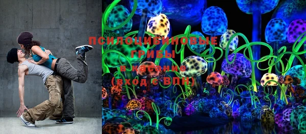 молекула духа Коряжма