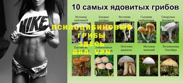 кристаллы Корсаков