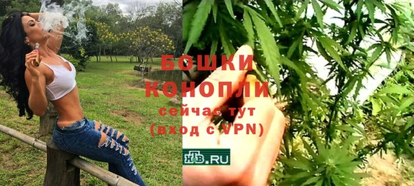 молекула духа Коряжма